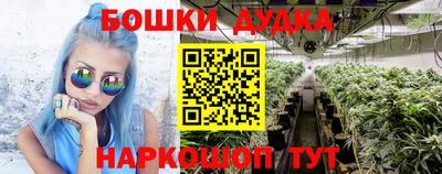 молекула духа Краснознаменск