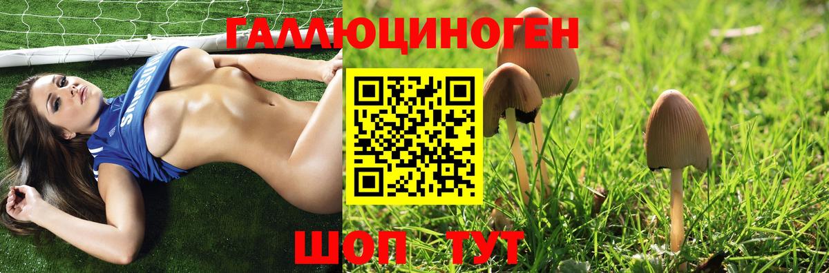 Псилоцибиновые грибы MAGIC MUSHROOMS  Галлюциногенные грибы MAGIC MUSHROOMS  Ейск  Вход с VPN 